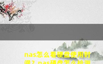 nas怎么看硬盘使用时间？nas硬盘怎么检测