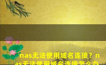 nas无法使用域名连接？nas无法使用域名连接怎么办